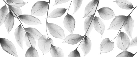 Art background with transparent black and white leaves on a branch in a watercolor style. Botanical banner for decoration, wallpaper, print, textile, interior design, packaging.