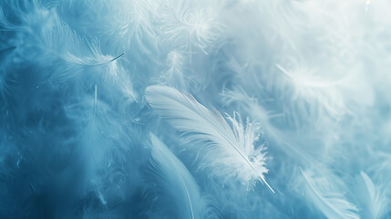 White Feathers Floating on Light Blue Background, Soft and Airy Concept

