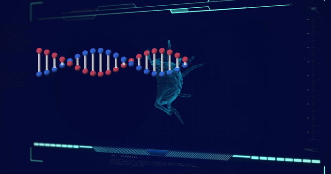 Image of dna strand over data processing with virus cell on black background