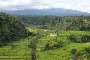 a view of a valley with mountains in the background