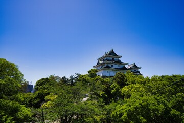 和歌山城と緑の木々と青い空