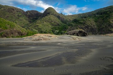 Black sand beach and hills covered in manuka forest. Anawhata, Auckland, New Zealand.