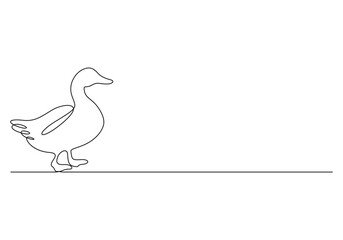Continuous one line drawing of duck. Isolated on white background vector illustration 