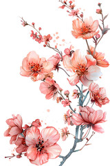 Pink cherry blossom branch in watercolor on white canvas
