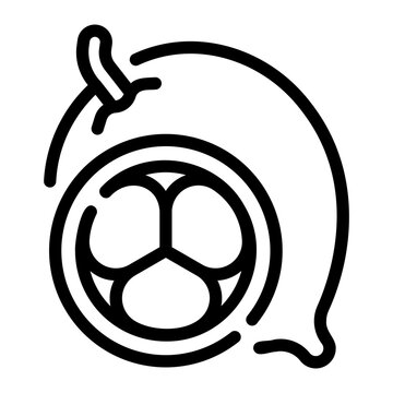 bacuri line icon