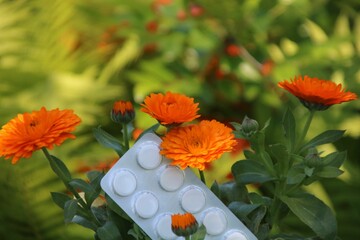 ringelblumen Homöopathie