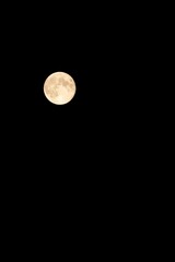 夜空に浮かぶ満月