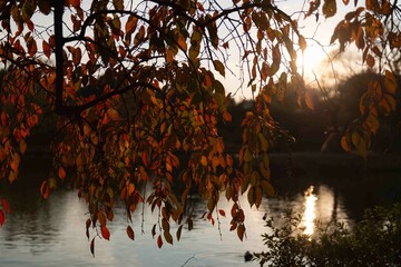 水面に写る夕陽と紅葉