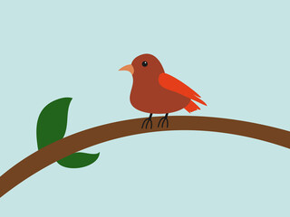 cute bird vector illustration flat design