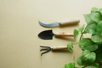 Hand tool, Paint brush, and Cutlery on table with plant