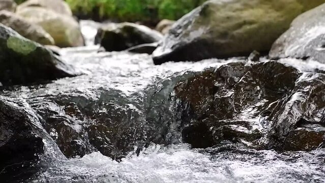 The flow of water flows fast in a clean river at the foot of Mount 