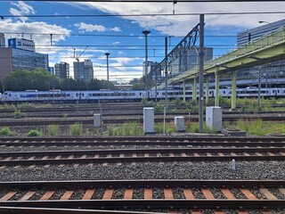 Fototapeta premium Japan beauty