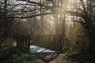 bridge on path