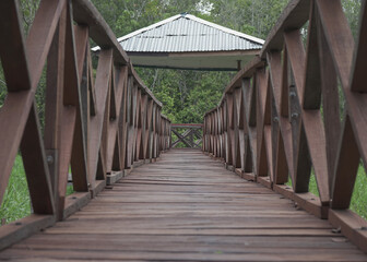view of wooden bridge from low angle with gazebo and green rainforest in the background