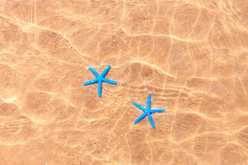Two blue starfish under the crystal clear waters of a beach, with sand in the background.