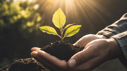 Hands holding young plant with sunlight on green nature background. concept eco earth day.