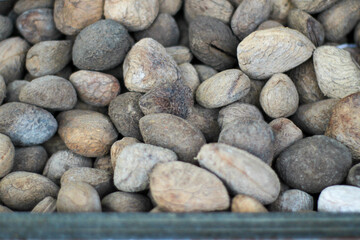 a group of kluwek at a traditional market. Kluwek is one of the main ingredients for making rawon