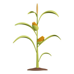 3D Corn Plant