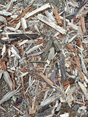 Pile of Wood Chips and Debris on Ground