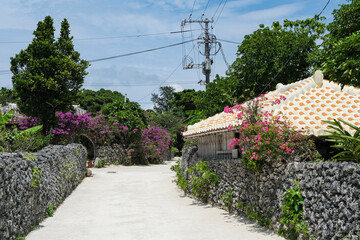 赤瓦の伝統家屋が残る竹富島の集落 © y.tanaka