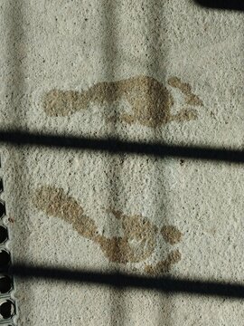 Wet footprints on the floor