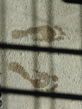 Floor with wet footprints