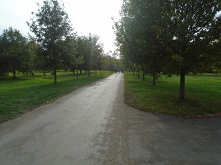 Fototapeta premium London, UK