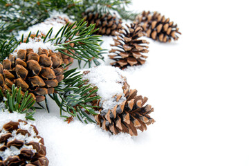 Pine cones on snow with space for text