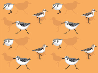 Obraz premium Bird Sandpiper Sanderling Cartoon Cute Seamless Wallpaper Background