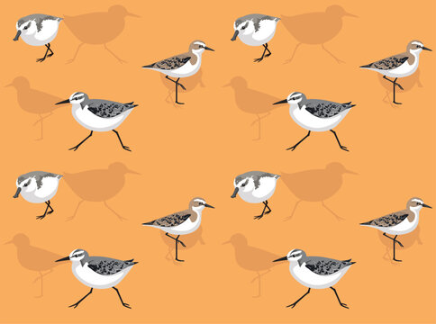 Bird Sandpiper Sanderling Cartoon Cute Seamless Wallpaper Background