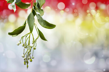 Mistletoe over blank festive background