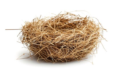 A bird nest made of natural straw, isolated on a white background 