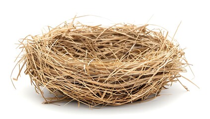 A bird nest made of natural straw, isolated on a white background 