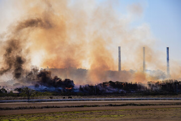 rubbish pile fire with horses in the foreground and power station in the background inGladstone,...