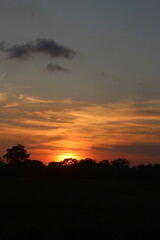 Natural Sunset Sunrise Over Field Or Meadow. Bright Dramatic Sky And Dark Ground. Countryside Landscape Under Scenic Colorful Sky At Sunset Dawn Sunrise. Sun Over Skyline, Horizon. Warm Colours.