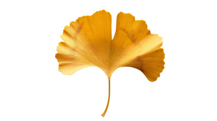 A single ginkgo leaf with its distinctive fan-shaped form and golden yellow hue, symbolizing longevity and resilience, Isolated on white background.