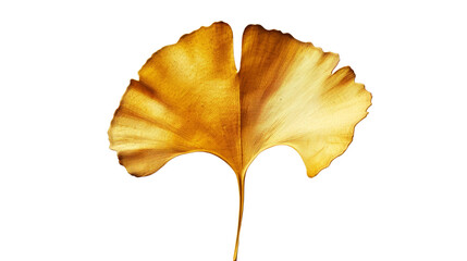 A single ginkgo leaf with its distinctive fan-shaped form and golden yellow hue, symbolizing longevity and resilience, Isolated on white background.