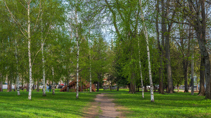 Path in a spring town park in a birch grove. © Andrey Nikitin