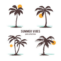 Summer vibes palm collections