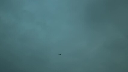 Mysterious object flying under an overcast sky, hinting at unidentified phenomena