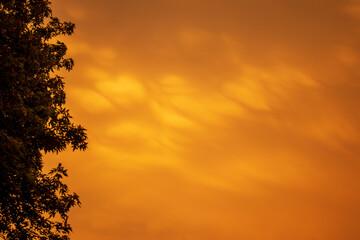 A fiery orange sunset sky is dominated by swirling clouds that create a dramatic backdrop. The...