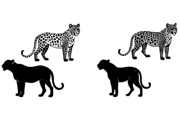  leopard line art silhouette illustration