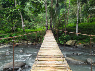 Obraz premium the views of bamboo bridge on the river