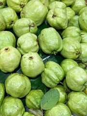 a photography of a pile of guava fruit with leaves.