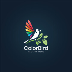 Obraz premium Bird logo, A colourful gradient bird logo template