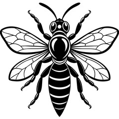 beewolf-wasp-cartoon-vector-illustration