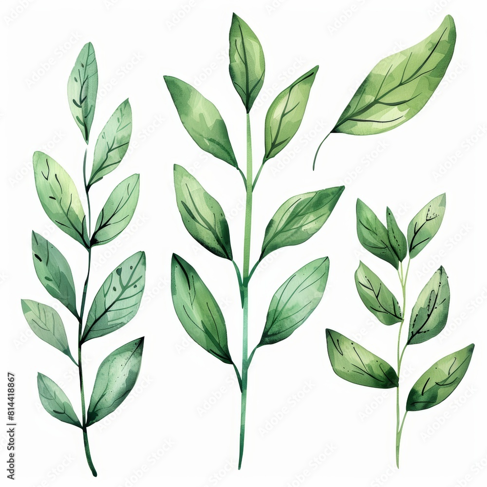 Poster Elegant Botanical Elements for Design and Decoration Generative AI