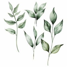 Elegant Botanical Elements for Design and Decoration Generative AI