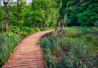 Wooden tourist trek in Plitvice National Park. Green summer scene of green forest with pure water lake. Amazing landscape of Croatia, Europe. Beauty of nature concept background.