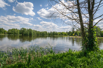 A water reservoir on the Grabia River in the city of Łask, Poland.